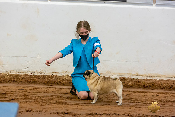 Pugs Catherine Fri_JJL_3538-MdlndMay72021-HR3