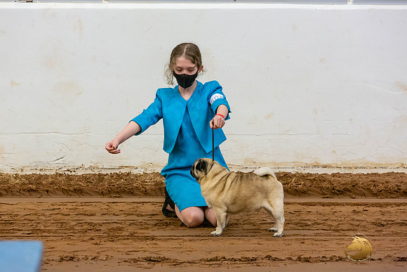 Pugs Catherine Fri_JJL_3539-MdlndMay72021-HR3