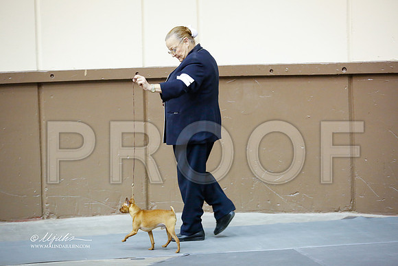 MinPin-2959-SANov13-HR