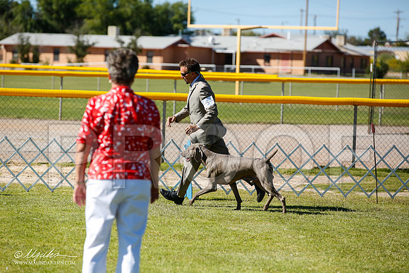 _JN_7366-AlamogordoOct2014-HR3