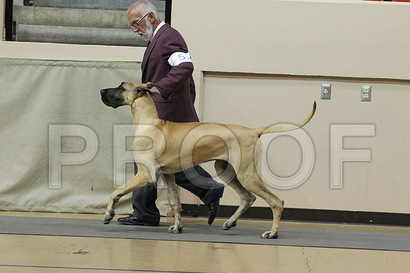 MJS_3270