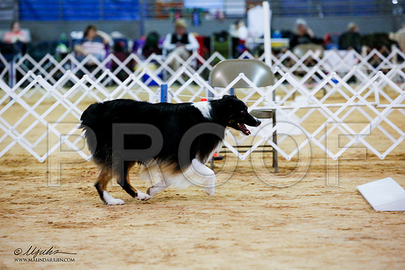 _JJ_7879-ASCACollegeStationNov2014-HR3