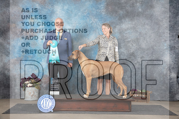 Rhodesian Ridgeback #14 Sat OHBIS Judge Eric Liebes__JP_7536_Belton_2024_HR3