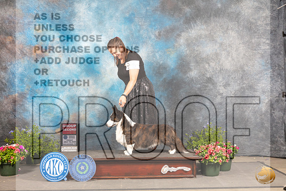 Cardigan Welsh Corgi #5 Fri G2 Judge Allen Odom_MJ_0076_SA_2022_HR3