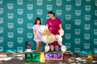 Poodle Standard #444 NGCh No Judge