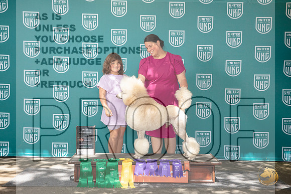 Poodle Standard #444 NGCh No Judge__JP_1827_Longview WA_2024_HR3