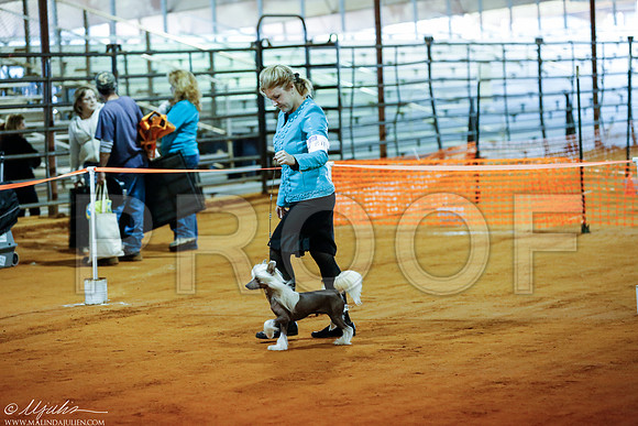 _RH_1569-MarshDec2014-HR