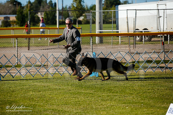 _JJ_8797-AlamogordoOct2014-HR3