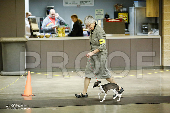 _JJ_5498-BeltonJan2015IABCA-HR3