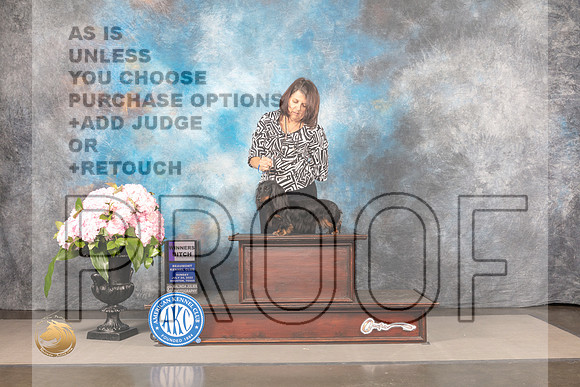 Dachshund Long Haired #18 SUN WB Judge Polly Smith_MJ_8201_Houston_2022_HR3