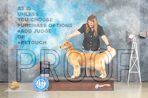 Golden Retriever #6 Sat RWB Judge Jill Warren_MJ_4459_Amarillo_2022_HR3