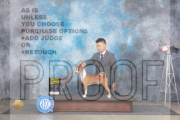 Basenji #5 Fri G4 Judge Ann Roth__JP_5394_Amarillo_2024_HR3