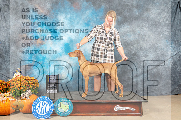 Vizsla #10 Sat BOBBOWWBCh Judge Shelley Hennessey_MJ_6078_Belton_2022_HR3