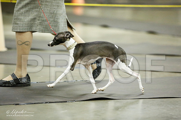 _JJ_5354-BeltonJan2015IABCA-HR3