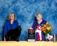 #210 S1 BOS Kathleen Bastian Judge Beverly Henry