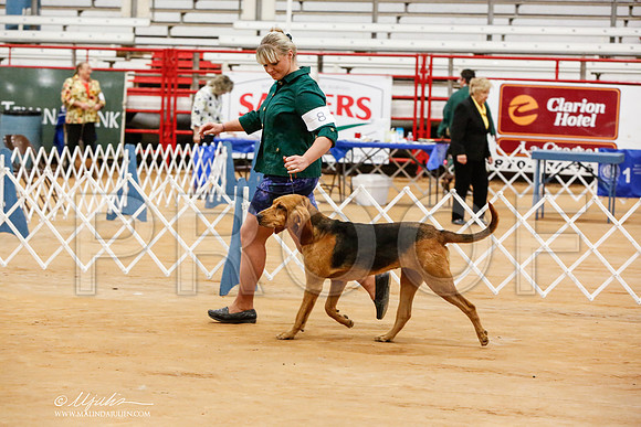 _JN_6349-TxArJun2014-HR3