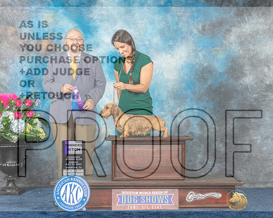 Dachshund Wire #18 Sun WB Judge Raymond Filburn Jr-MJP_7212e_Hstn2023_HR3