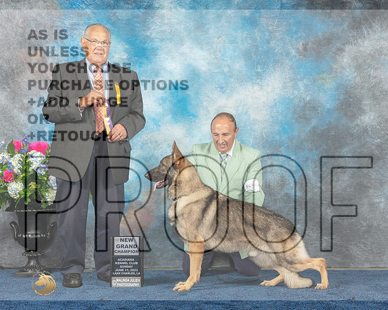 German Shepherd Dog #? Sun Lake Charles NGC BOB Judge John Wade-MJP_2207e_Hstn2023_HR3