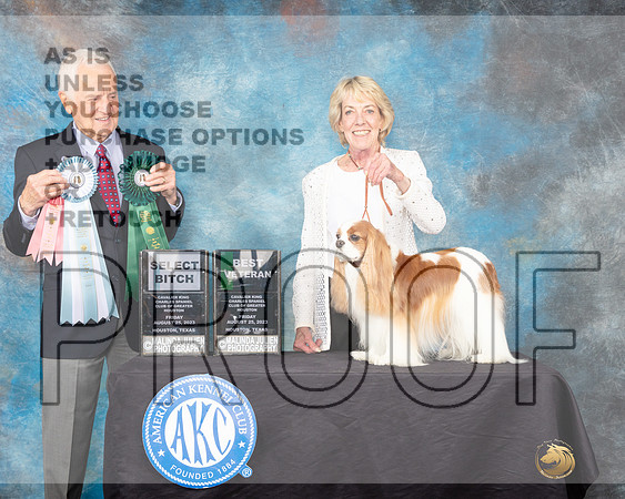 Cavalier King Charles Spaniel #8 Fri2 SBBVet Judge Ted W Eubank-_JP_0159-ToyHouston2023_HR3