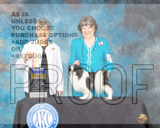 Japanese Chin #5 Sun BOB Judge Doris Corzart-_JP_0767e-ToyHouston2023_HR3