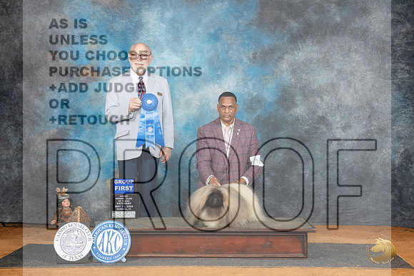 Pekingese #17 Sat G1 Judge Tim Robbins__JP_8267_MARSHALL_2024_HR3