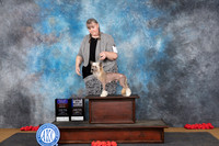 Chinese Crested #7 Sun WDBOWBOBOHBOB Judge Pat Trotter