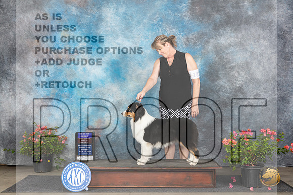 Australian Shepherd #18 BOBOHBOB Sun Judge Wendy G Willhauck__JP_5816_San Antonio_2024_HR3