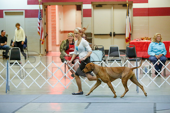 _JJ_3113-AmarilloSept2014-HR3