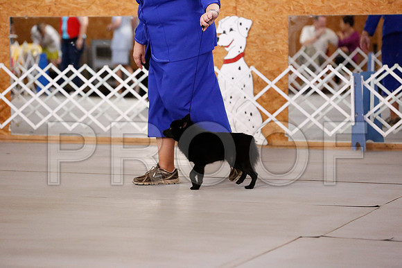 _RH_7863-CarlrolltonSept2014-HR3