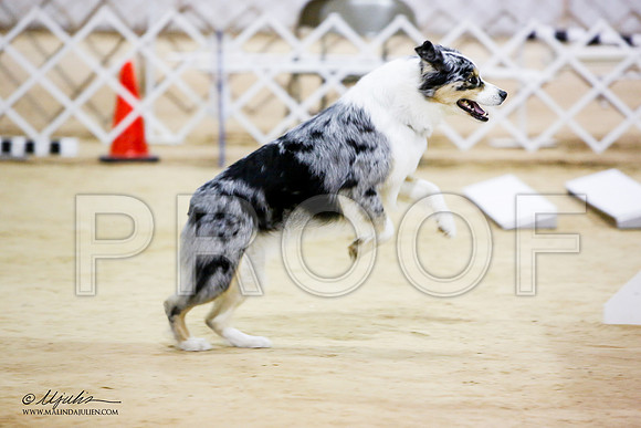 _JN_7692-ASCACollegeStationNov2014-HR3