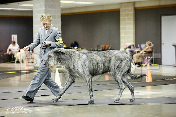 _RH_1392-BeltonJan2015IABCA-HR3