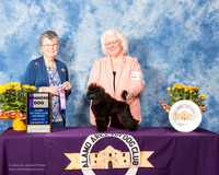Poodle Toy #7 Sat WD LUPARDS Keith Barbara Lupardus Judge Doris Cozart