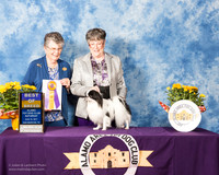 Japanese Chin #5 Sat BOB LOCKYER Janet Beverly A Merritt Judge Doris Cozart