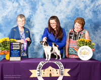 Papillon #12 Sat WB KIRK Patsy and Garey Judge Doris Cozart