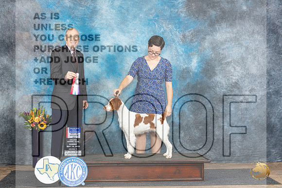 Brittay #20 Sun WBBOWBOSM Judge Larry Abbott__JP_0003_Abilene_2024_HR3