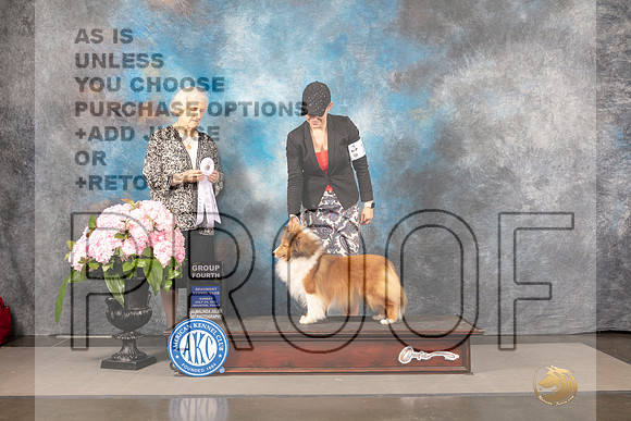 Shetland Sheepdog #12 Sun G4 Judge Janet Fink_MJ_8297_Houston_2022_HR3
