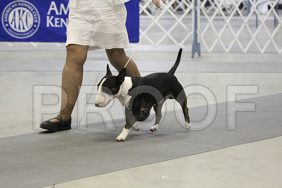 MJS_2642
