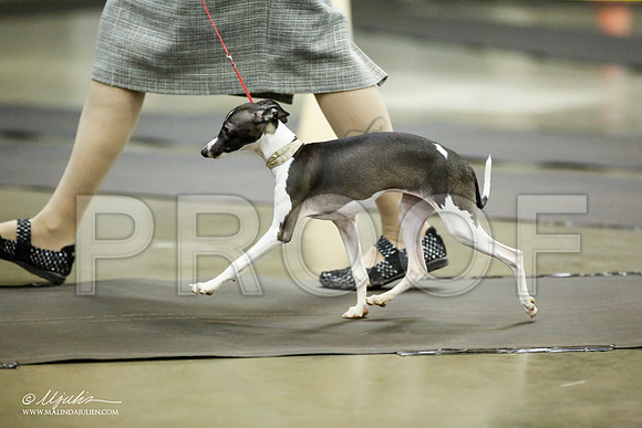 _JJ_5356-BeltonJan2015IABCA-HR3