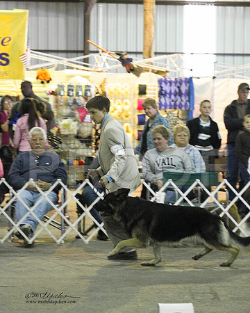 Group Herding Saturday - 0017