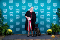 Dutch Shepherd TD