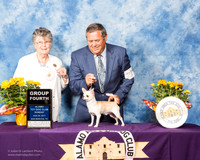 Chihuahua #27 Sun G4 Connie Williams Judge Doris Cozart