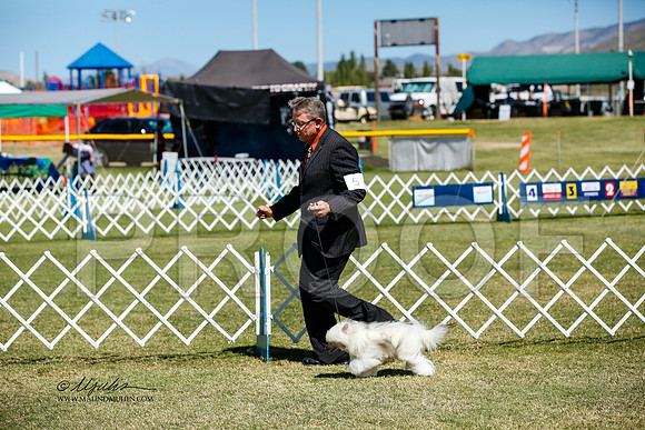 _JJ_3494-AlamogordoOct2014-HR3