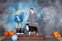 Miniature American Shepherd #14 Sat WBBOS NCH Judge Jan Paulk