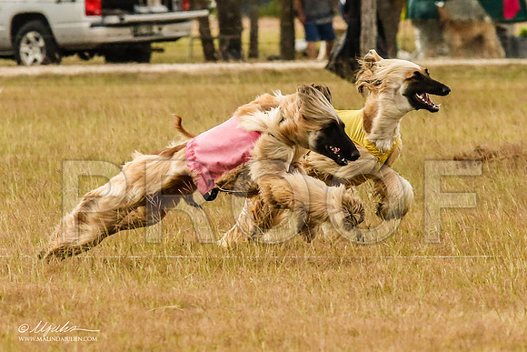 _MJ_5710-AfgBeltonOct2014-HR3