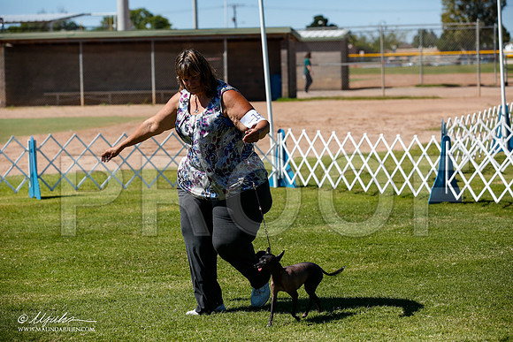 _JJ_8459-AlamogordoOct2014-HR3
