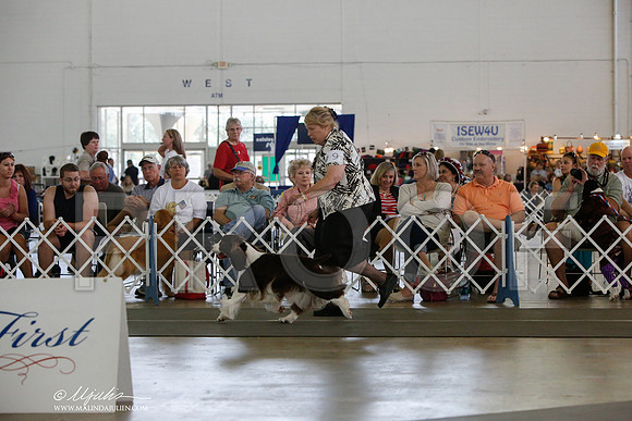 _JJ_1394-DallasJul2014-HR3