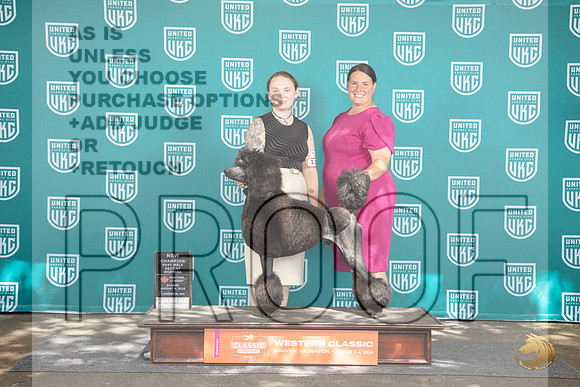 Poodle Standard #113 Sun NCh BOW Judge Kevin Carroll__JP_1770_Longview WA_2024_HR3