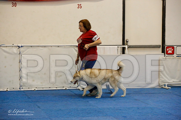 _M3_7631-AddisonHuskyMar2015-HR3