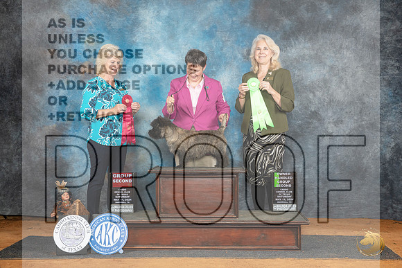 Cairn Terrier #5 Sat G2 Judge Lisa Graser__JP_8073_MARSHALL_2024_HR3