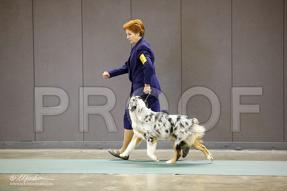 _JN_2796-BeltonJan2015-HR3